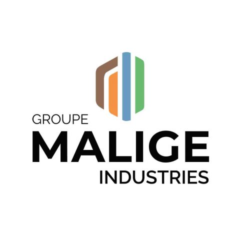Création de logotype par Boréalis Communication, graphiste dans l’Allier
